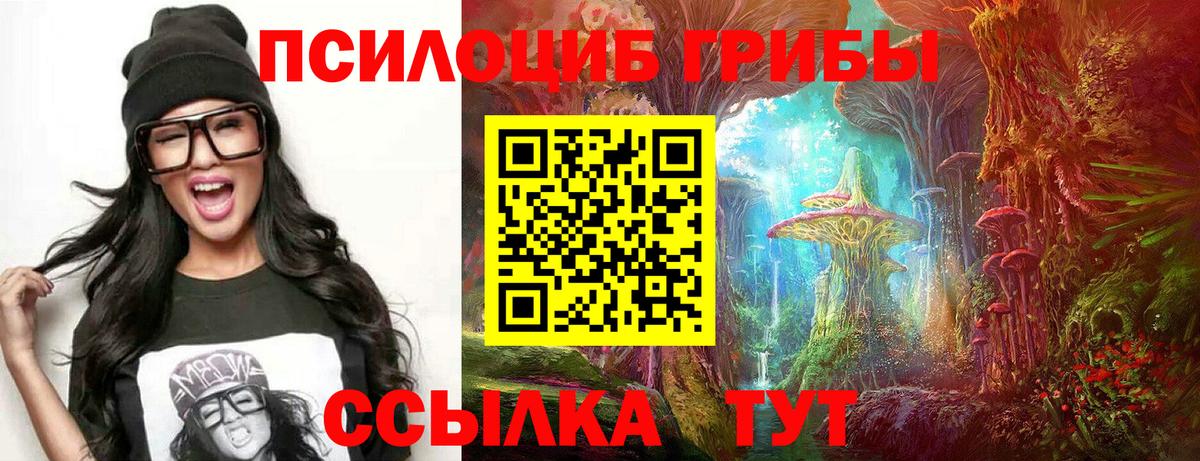 Россошь  где найти наркотики  Вход с VPN  Галлюциногенные грибы прущие грибы 